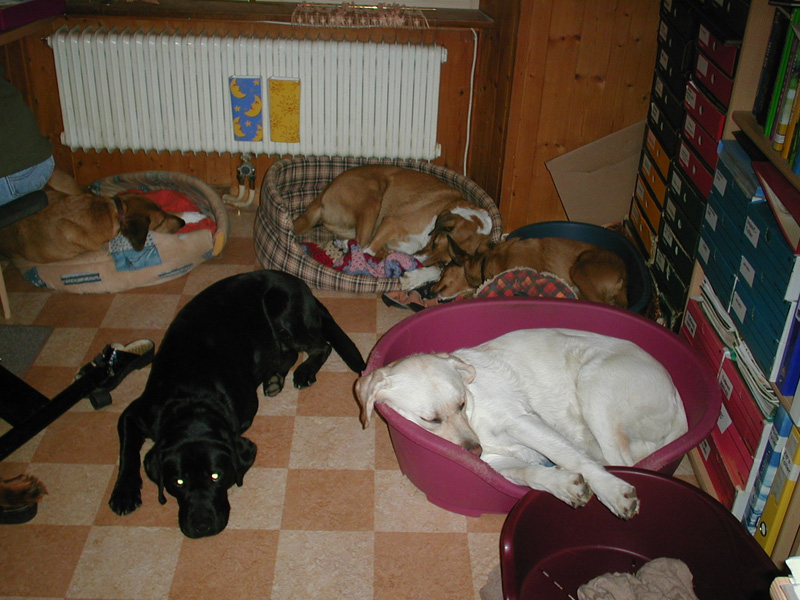 buerotruppe